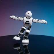 Robots, transformers and figures